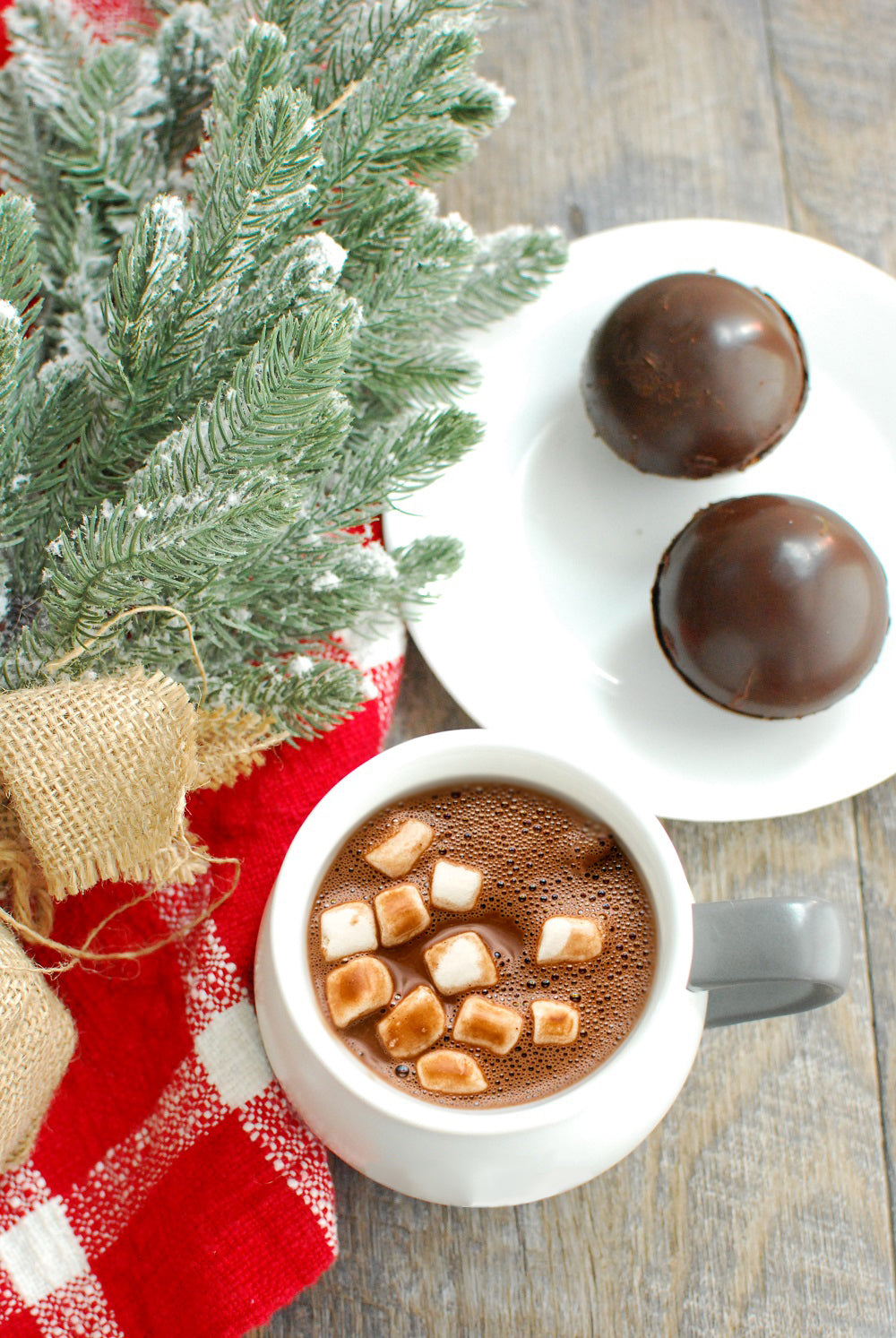 Fudgy Bombs - Family Pack